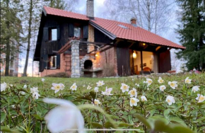 Vikendica Bajka Zlatibor